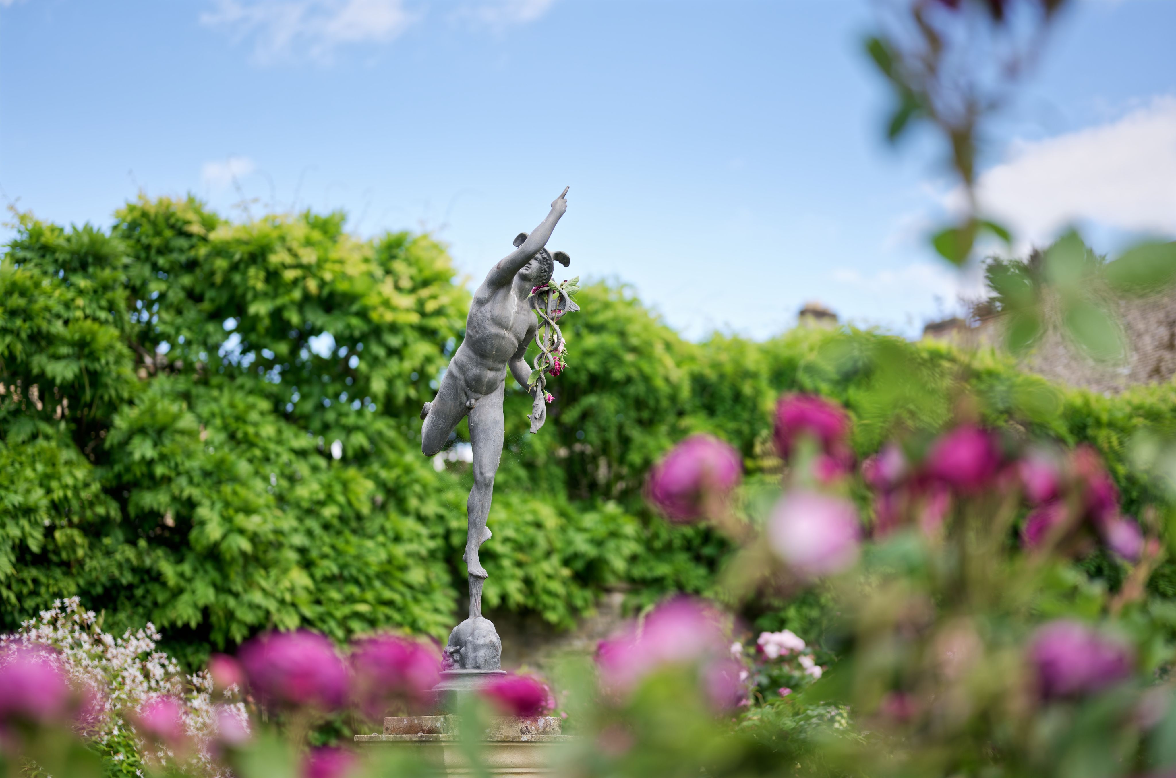 Mercury in the Rose Garden
