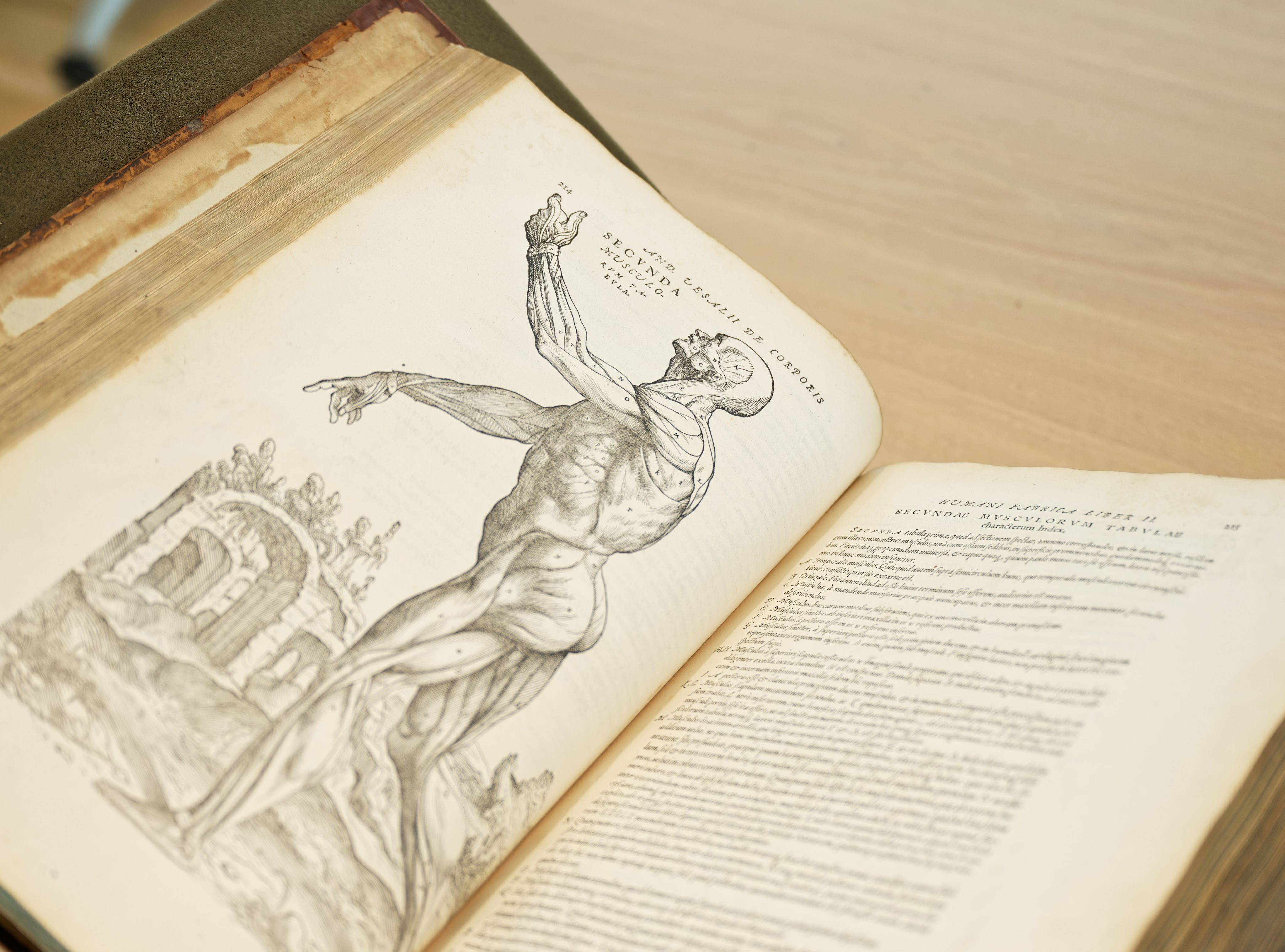 Early modern anatomy textbook from College library