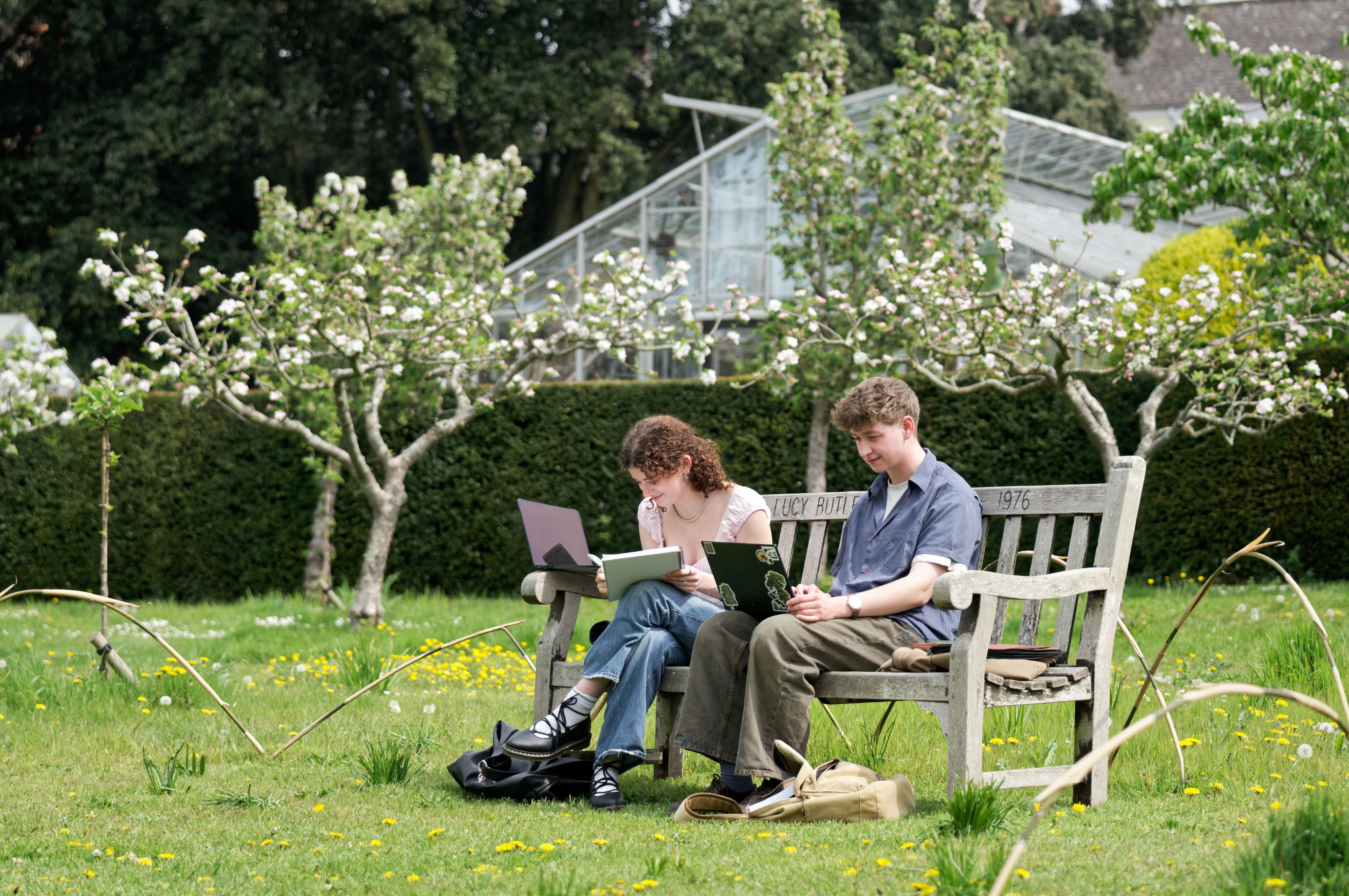 Male student reads on bench outside Asa Briggs Building