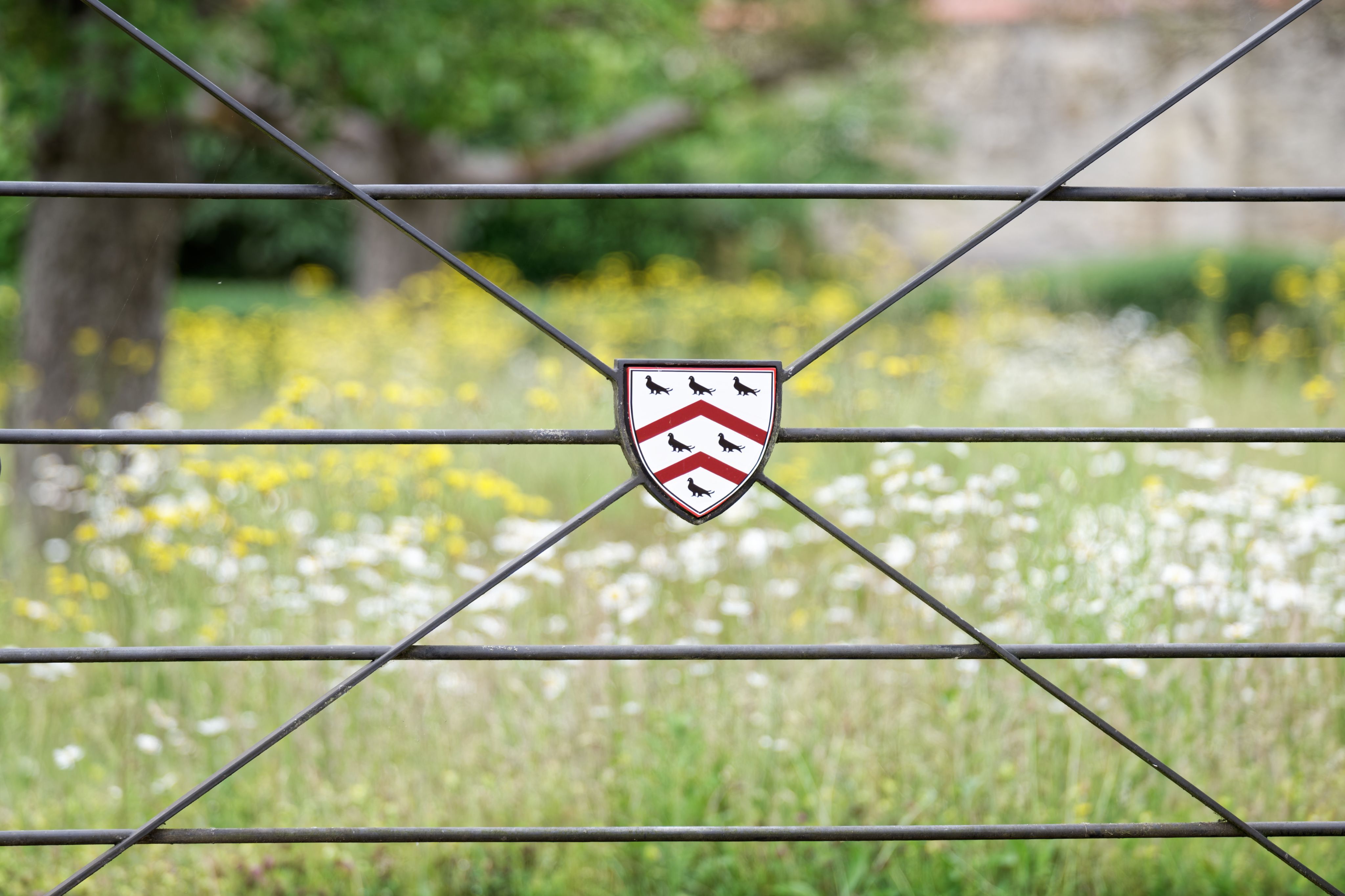 The gate in Worcester College orchard with a flowery meadow beyond
